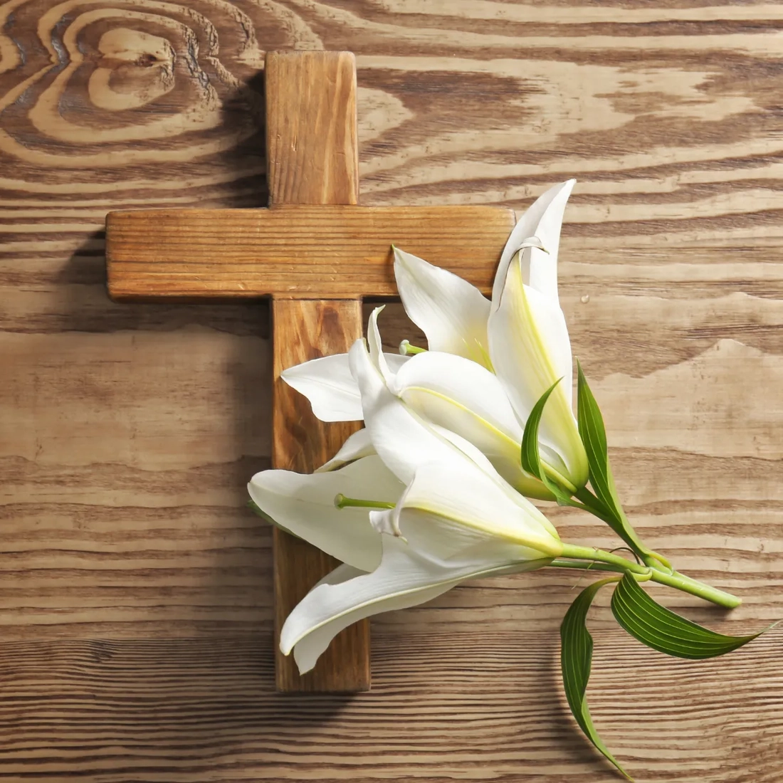 無宗教/基督教/天主教喪禮服務-殯儀館喪禮/院出喪禮服務